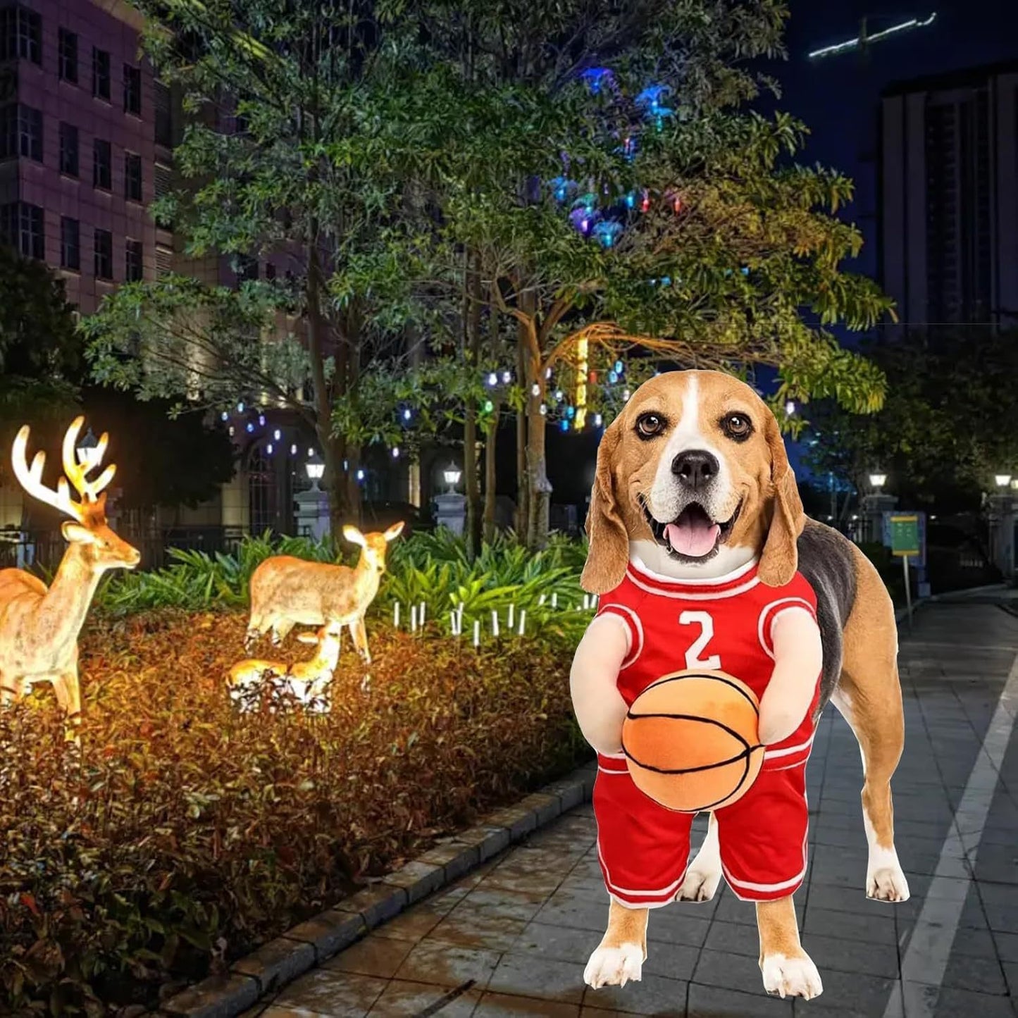 Basketball Player Costume  For Dogs