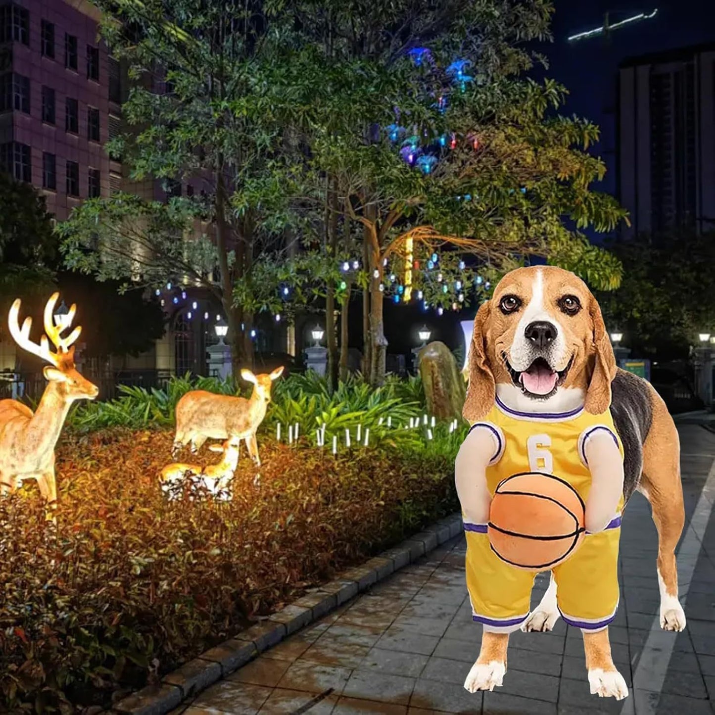 Basketball Player Costume  For Dogs