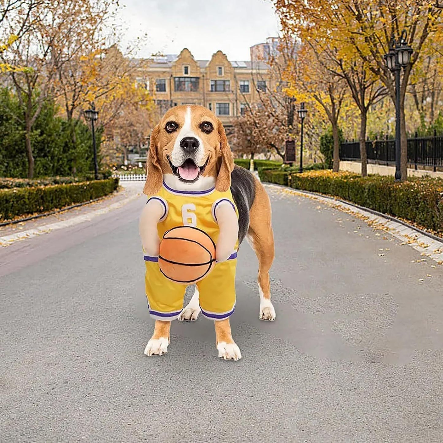 Basketball Player Costume  For Dogs