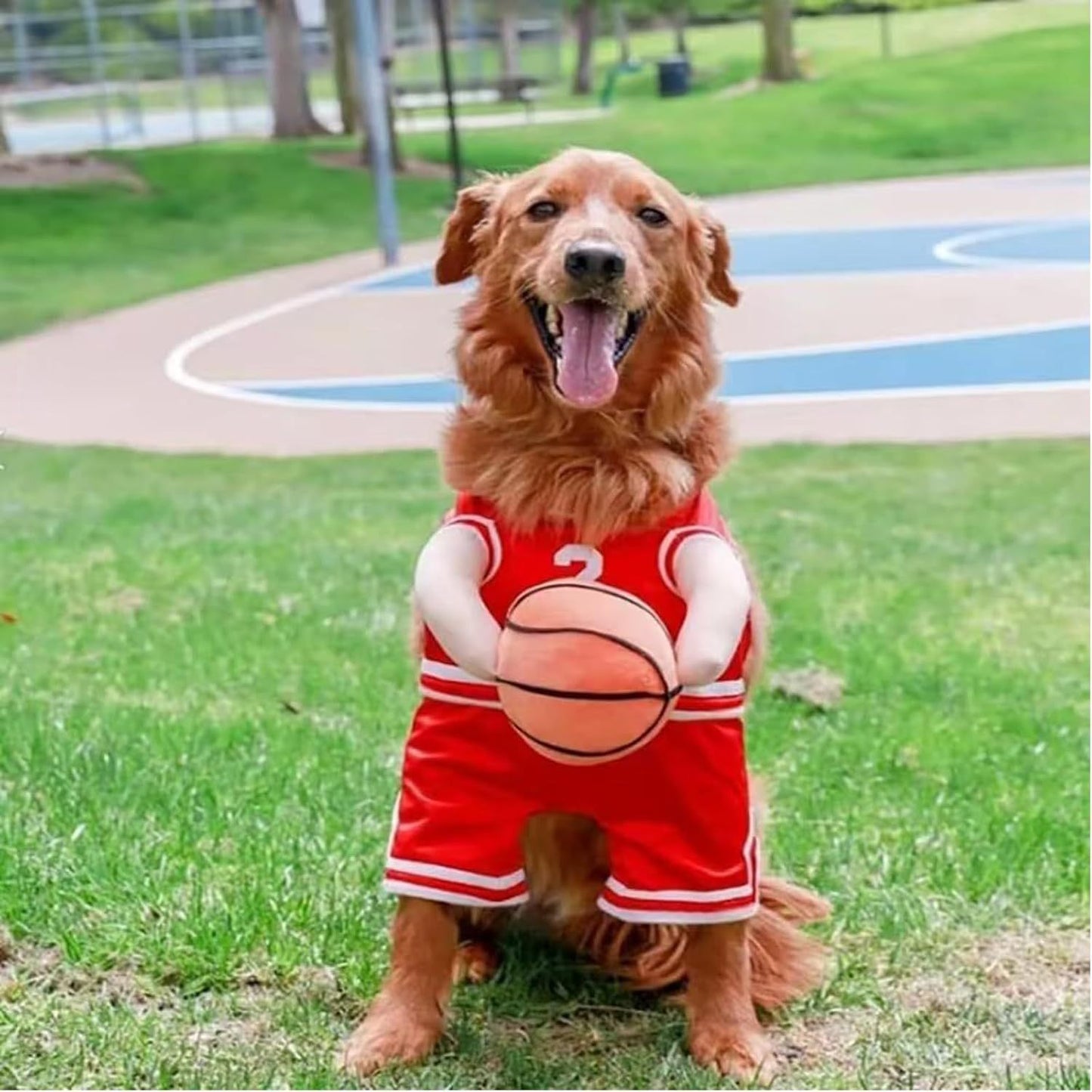 Basketball Player Costume  For Dogs