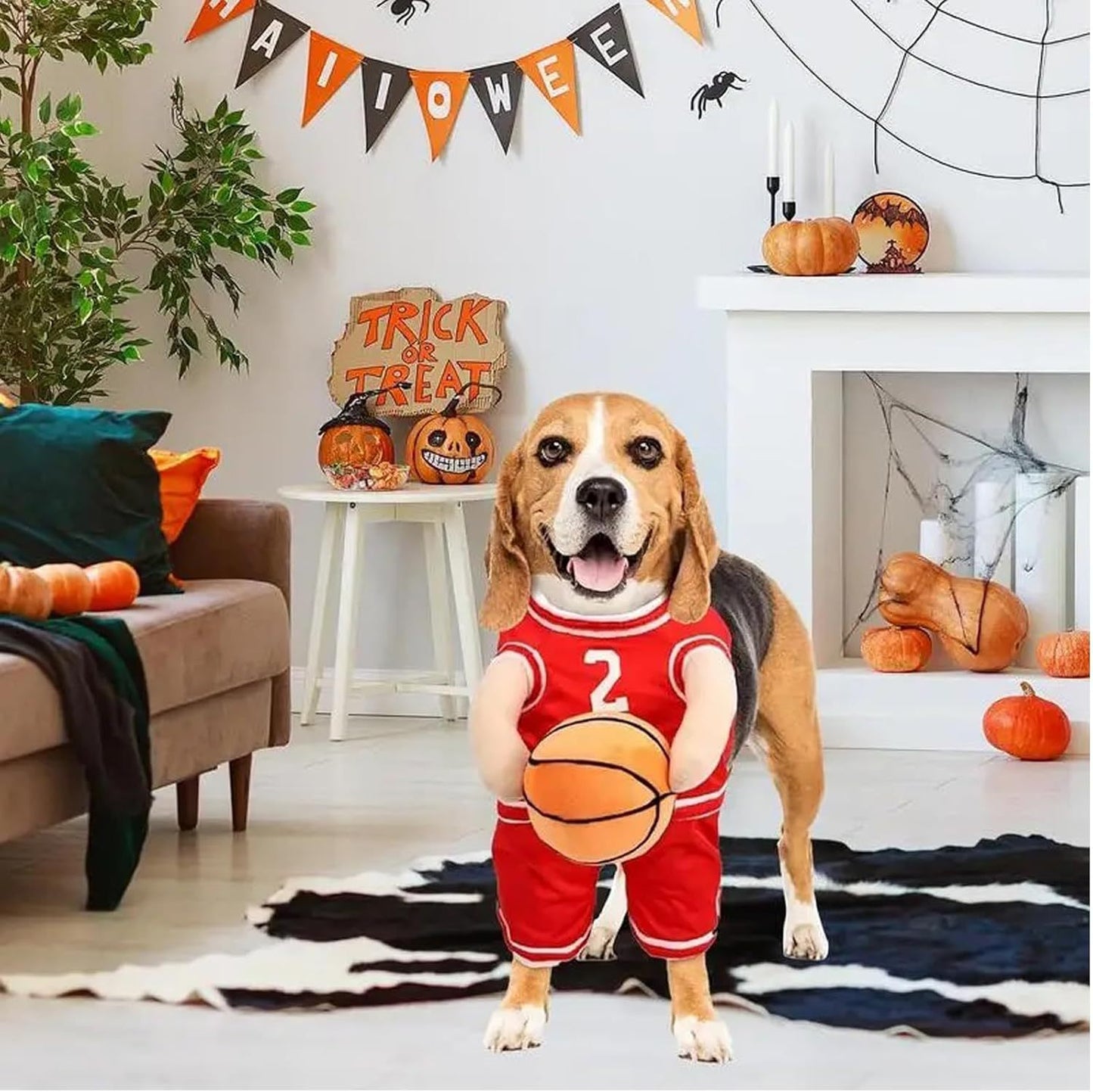 Basketball Player Costume  For Dogs